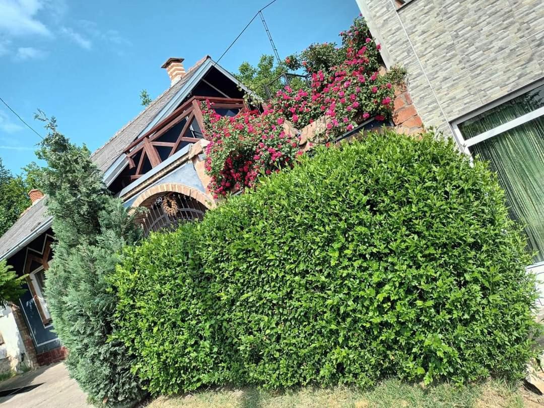 Apartman Vrdnicak Vrdnik Exterior photo