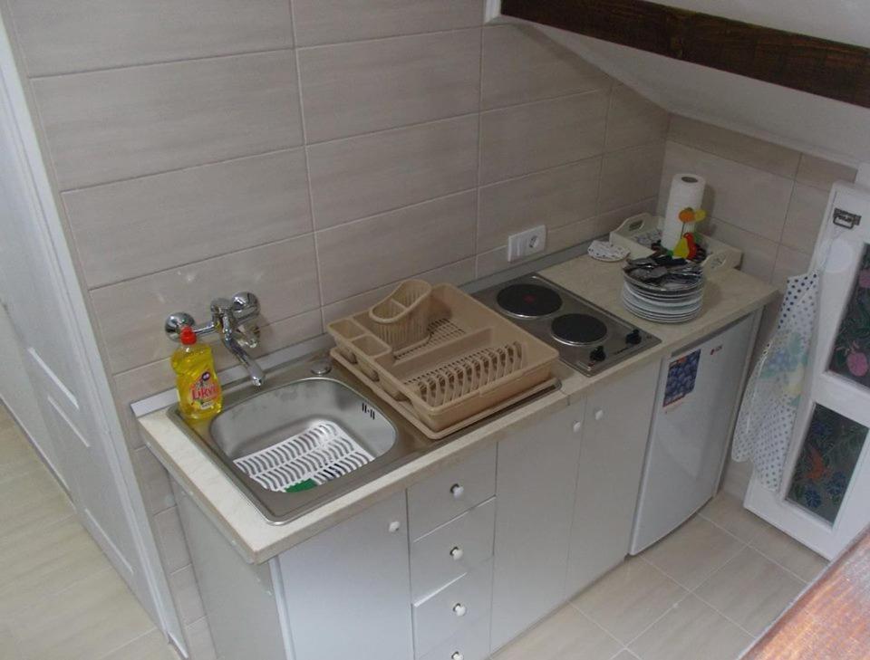Apartman Vrdnicak Vrdnik Exterior photo