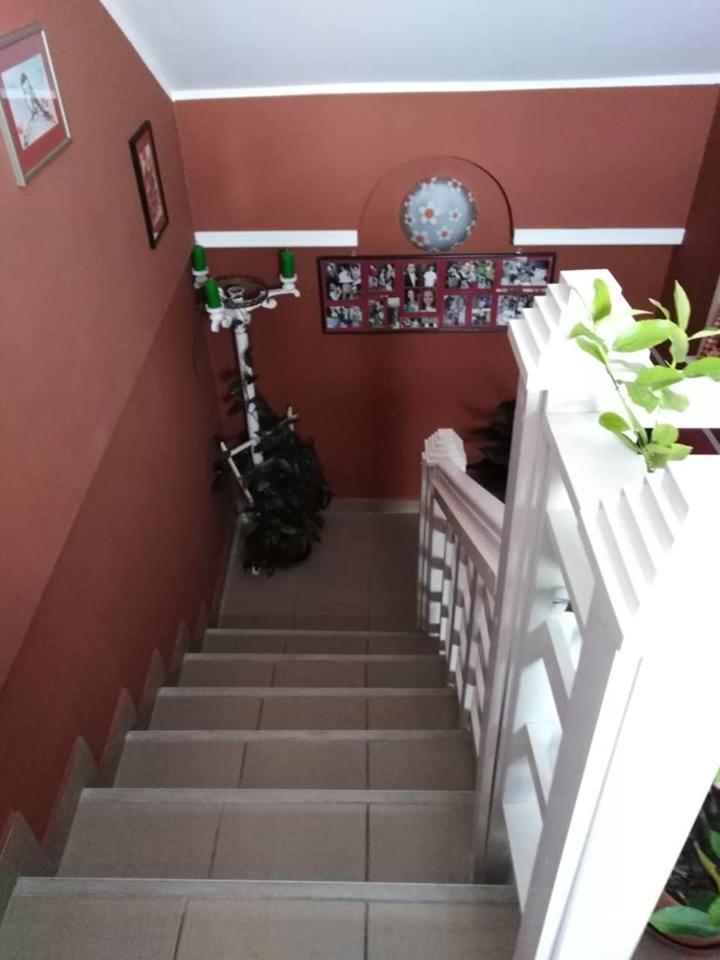 Apartman Vrdnicak Vrdnik Exterior photo