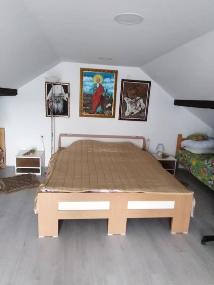 Apartman Vrdnicak Vrdnik Exterior photo