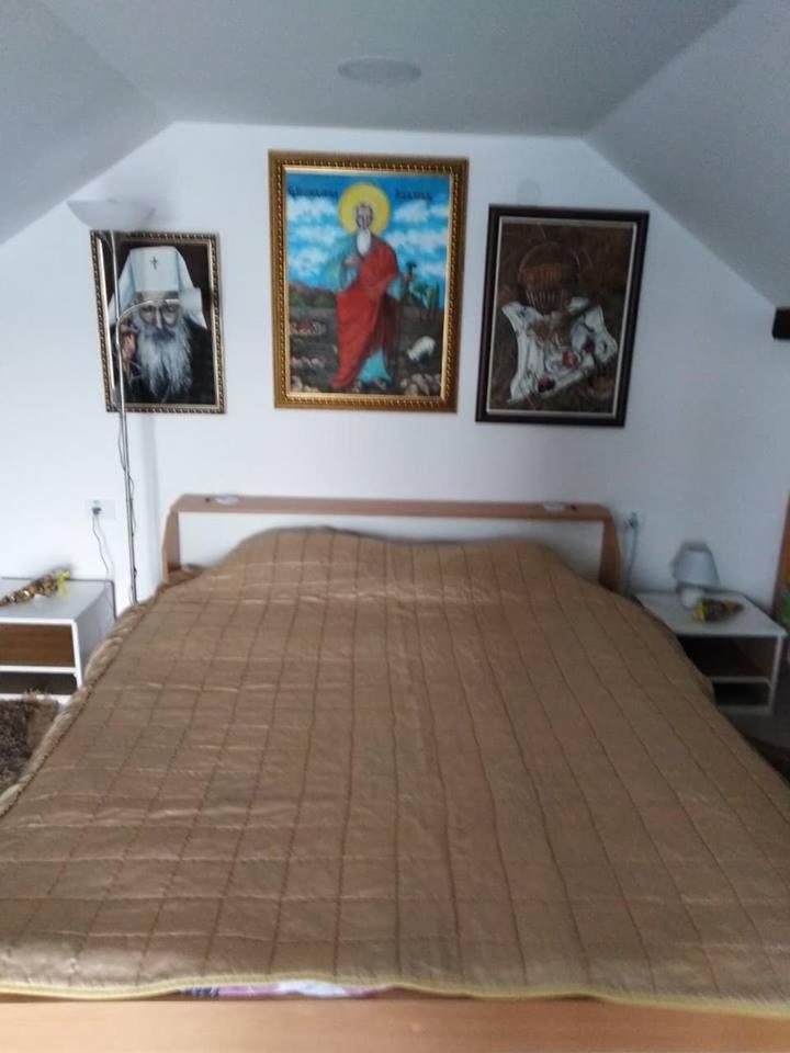 Apartman Vrdnicak Vrdnik Exterior photo